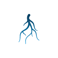 Representation of heredity as risk factors for varicose veins